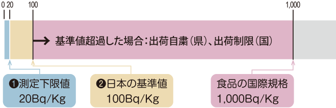 放射性セシウムの基準値（一般食品100ベクレル/Kg）を超えたものは日本国内では流通しません